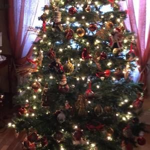 Meet your Posher, Marzena